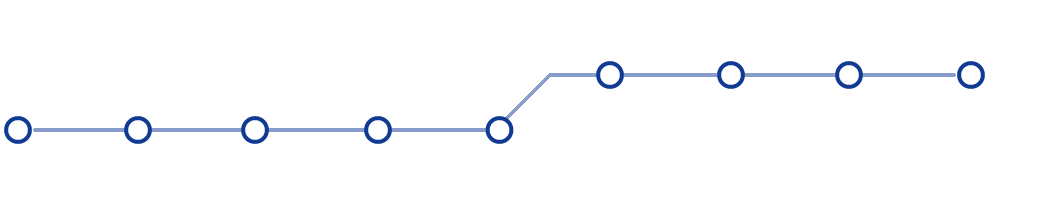 Linea Bus Airport Shuttle Napoli Capodichino